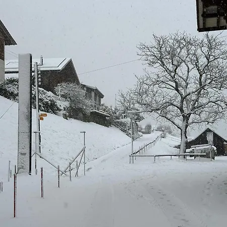 Daire Lakeside - 18 Niederried bei Interlaken