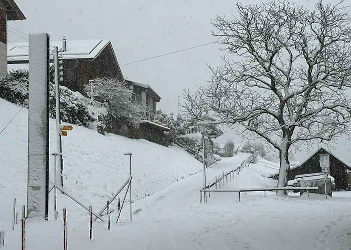 Apartment Lakeside - 18 Niederried bei Interlaken